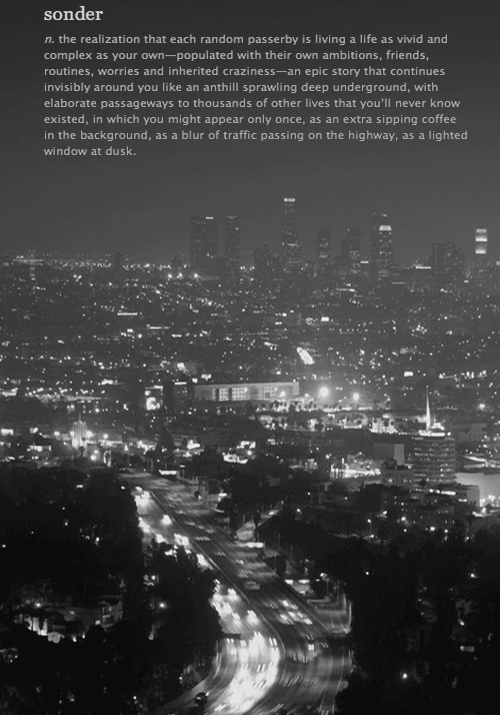 Sonder and meaning
